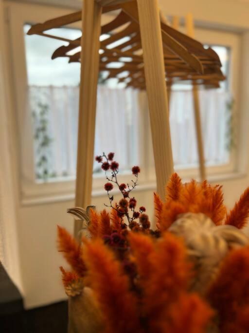 Boho Apartment Mit Aussicht Auf Gartenoase Naehe Duesseldorf Krefeld Eksteriør bilde